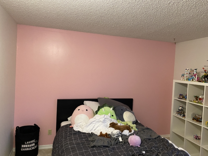 kelowna painters pink wall